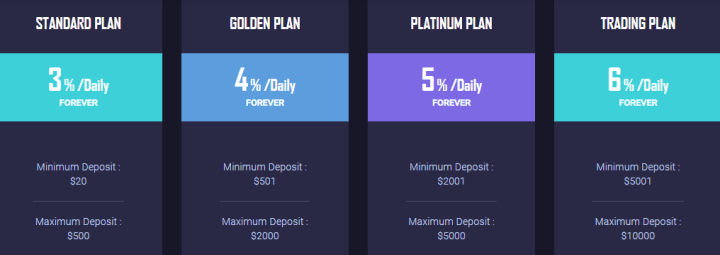 Angelic Age project investment plans