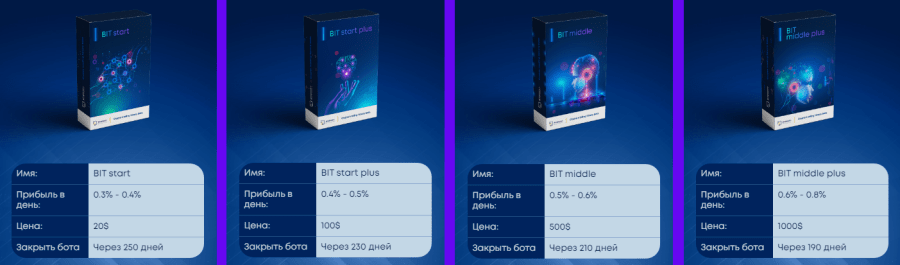 Bit Binary project investment plans