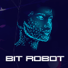 Обзор проекта Bit Robot