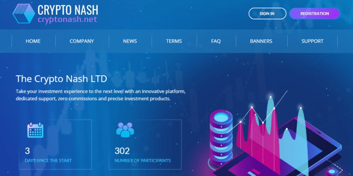 Обзор проекта Crypto Nash