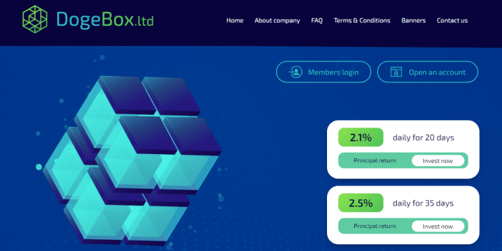 Обзор проекта DogeBox