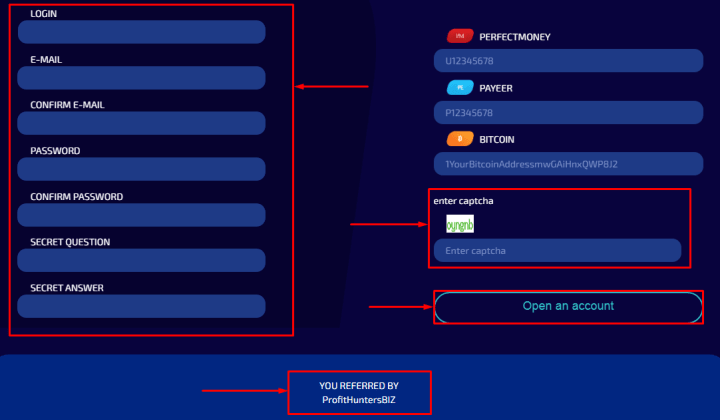 Регистрация в проекте DogeBox