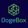 Обзор проекта DogeBox