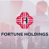Обзор проекта Fortune Holdings
