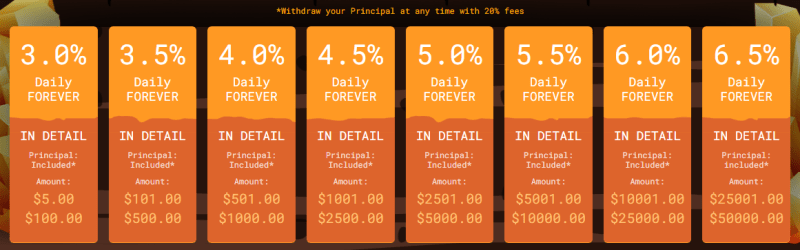 Investment plans of the Profminer project