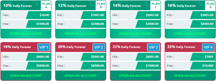 Investment plans of the Bit Paradise project