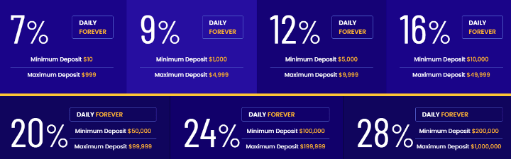 Investment plans of the BitPerfect project