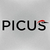 Обзор проекта Picus