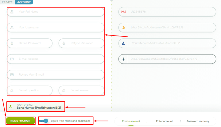 Registration in the Profit Day project