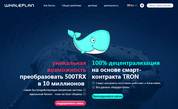 Обзор проекта Whale Plan