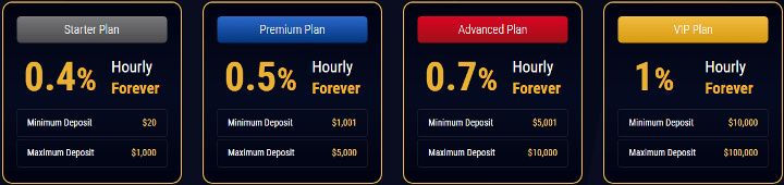 Investment plans of the Asset Prime project