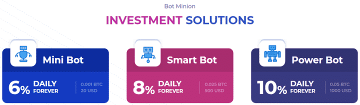 Investment plans of the BotMinions project