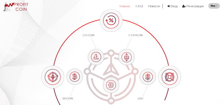 Profit Coin project overview