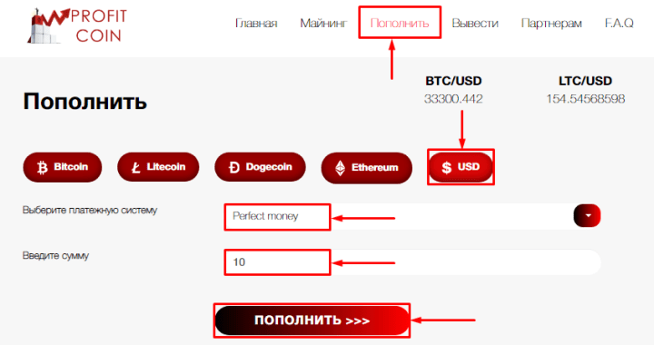 Пополнение баланса в проекте Profit Coin