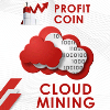 Обзор проекта Profit Coin