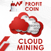 Profit Coin project overview