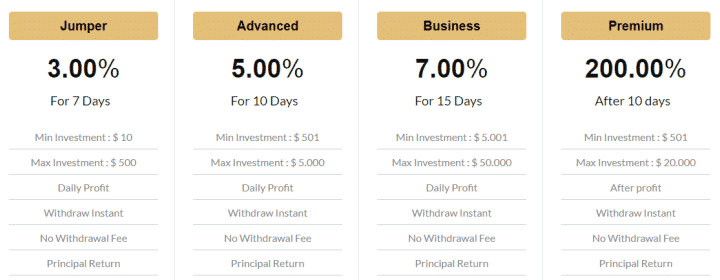 Trustee project investment plans