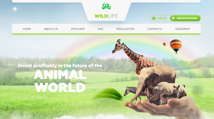 Обзор проекта Wildlife Trade