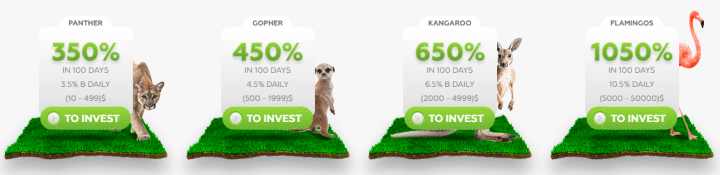 Investment plans of the Wildlife Trade project