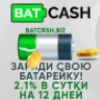 Batcash project overview