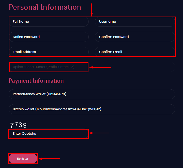 Registration in the Biselo project