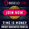 Обзор проекта Biselo