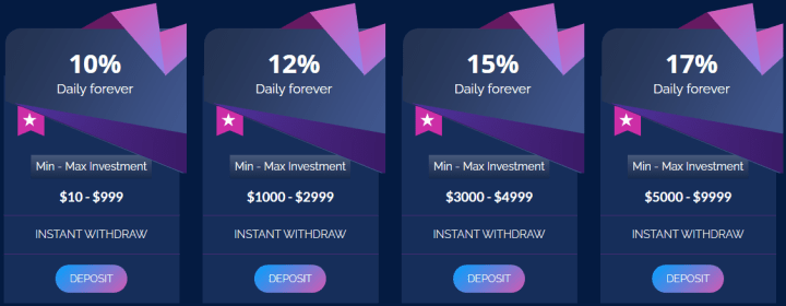 Investment plans for the Bomex project