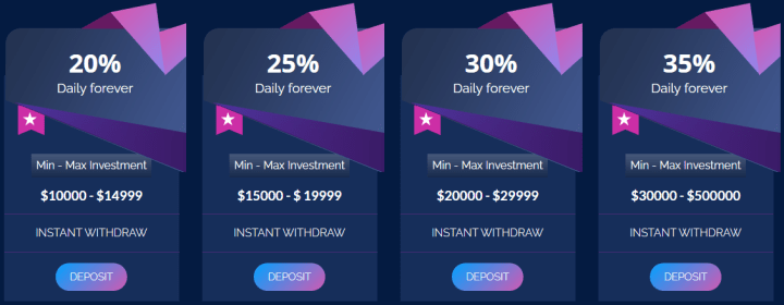 Investment plans for the Bomex project