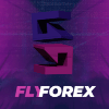 FlyForex project overview