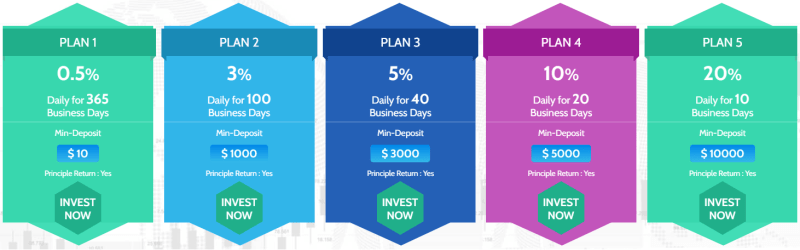 Plany inwestycyjne projektu Forex Profits