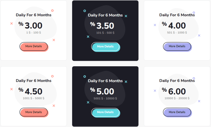 Investment plans for the Globe Profit project