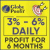 Globe Profit project overview