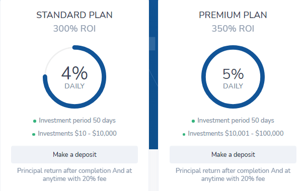 Infinily project investment plans