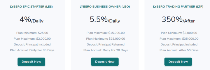 Lybero project investment plans