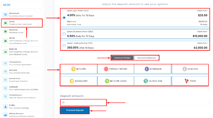 Создание депозита в проекте Lybero