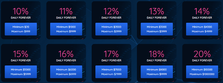 Investment plans of the BinaryPlus project