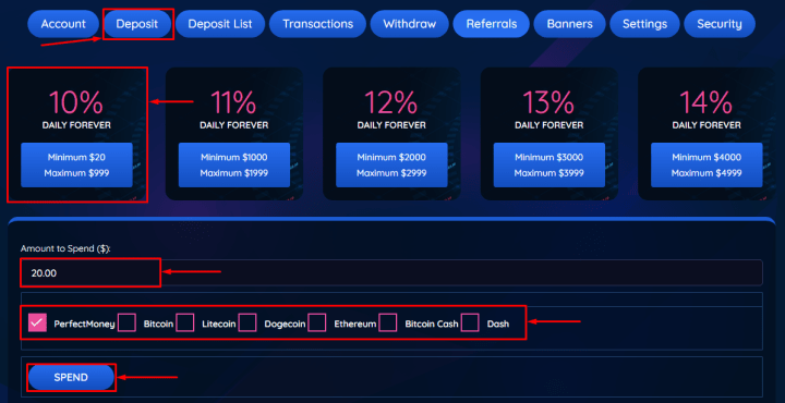 Making a deposit in the BinaryPlus project