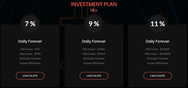 Investment plans of the Bitpraz project