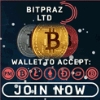 Обзор проекта Bitpraz