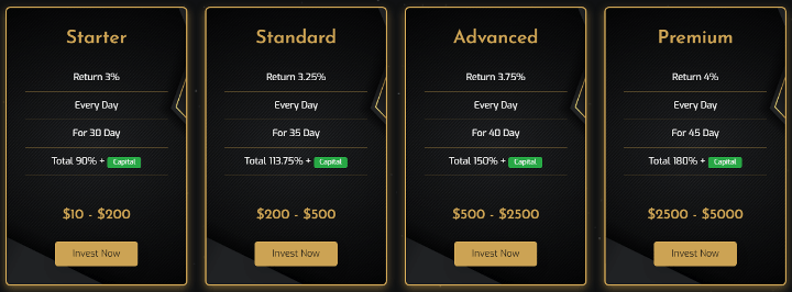 Investment plans of the Investro project