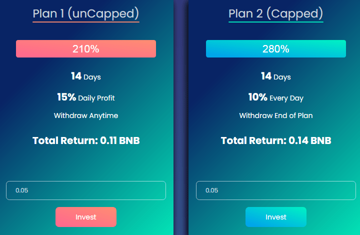 Investment plans of the BNB Evolution project