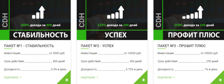 CDH Globe 프로젝트의 투자 계획