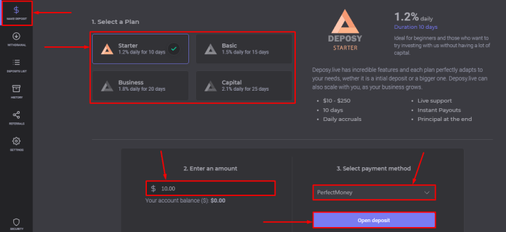 Making a deposit in the Deposy Live project