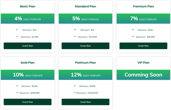 Investment plans of the Infinite Passive Income project