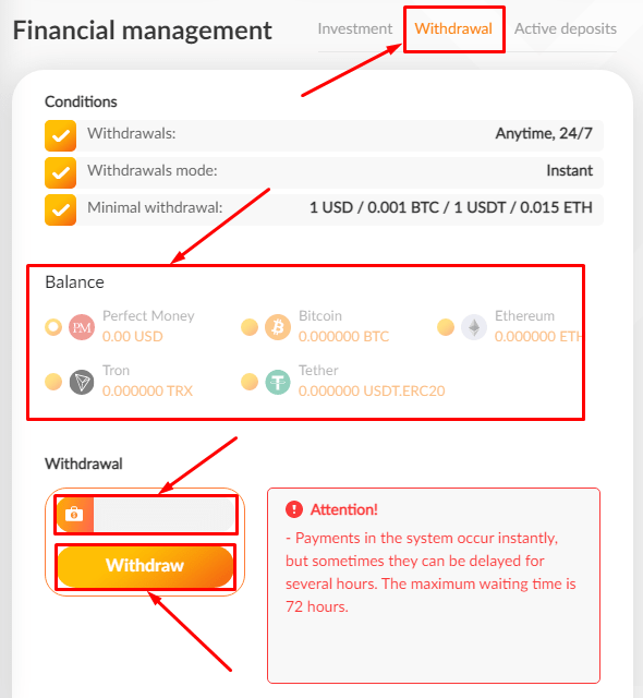 Pulsarbank 프로젝트에서 자금 인출