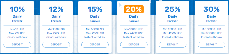 Investment plans of the Bit-Hunter project