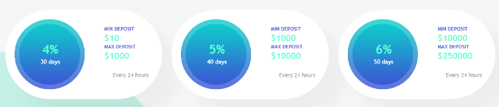 Investment plans of the Emerald-inv project