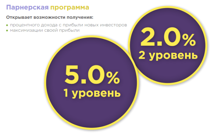 Партнерская программа проекта Road Energy