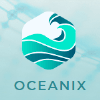 Przegląd projektu Oceanix