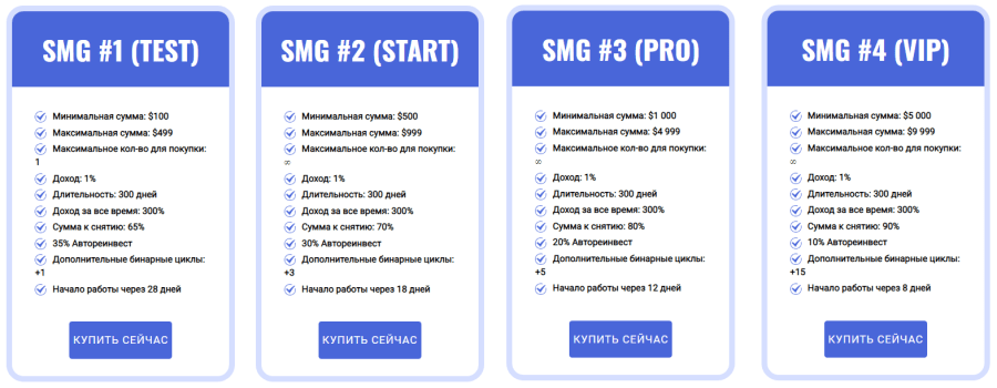 Инвестиционные планы проекта SMG LTD